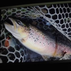 高萩ふれあいの里フィッシングエリア 釣果