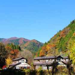 小菅トラウトガーデン 釣果