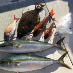 ふじしめ丸 釣果