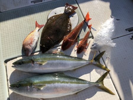 ふじしめ丸 釣果