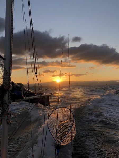 フィッシングボートACE(エース) 釣果