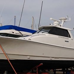 フィッシングボートACE(エース) 釣果