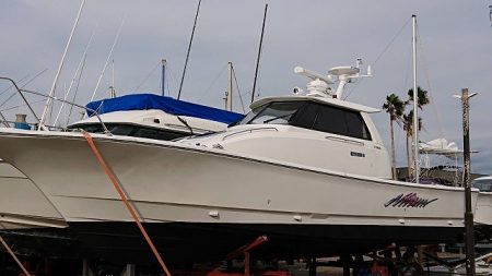 フィッシングボートACE(エース) 釣果