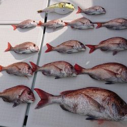 フィッシングボートACE（エース） 釣果