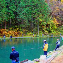 小菅トラウトガーデン 釣果