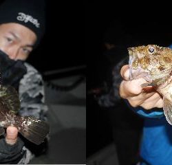 TOPGUN名古屋 釣果