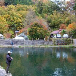 小菅トラウトガーデン 釣果