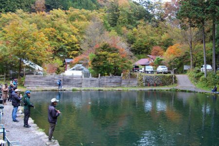 小菅トラウトガーデン 釣果