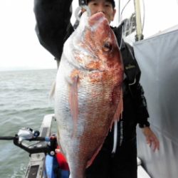 鯛紅丸 釣果