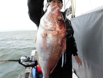鯛紅丸 釣果