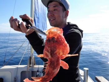 鯛紅丸 釣果