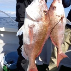 鯛紅丸 釣果