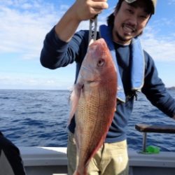 鯛紅丸 釣果