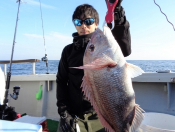 鯛紅丸 釣果
