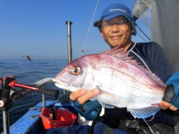 鯛紅丸 釣果