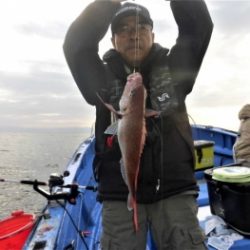 鯛紅丸 釣果