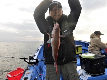 鯛紅丸 釣果