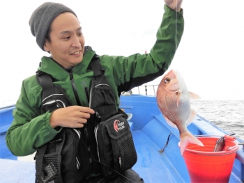 鯛紅丸 釣果