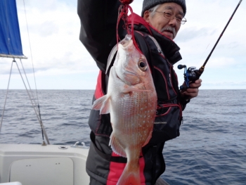 鯛紅丸 釣果