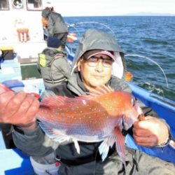 鯛紅丸 釣果