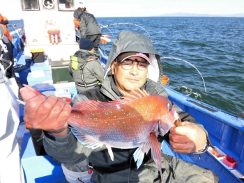 鯛紅丸 釣果