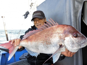 鯛紅丸 釣果