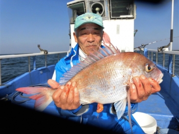 鯛紅丸 釣果
