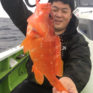 松栄丸 釣果