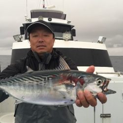 松栄丸 釣果