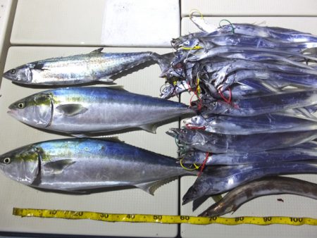 Hit Rush(ヒット ラッシュ） 釣果