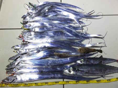 Hit Rush(ヒット ラッシュ） 釣果…