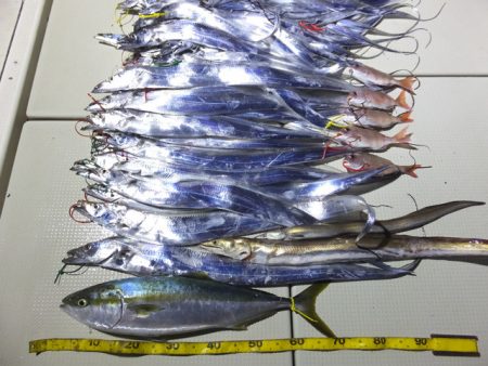 Hit Rush(ヒット ラッシュ） 釣果…