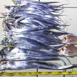 Hit Rush(ヒット ラッシュ） 釣果