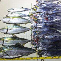 Hit Rush(ヒット ラッシュ) 釣果