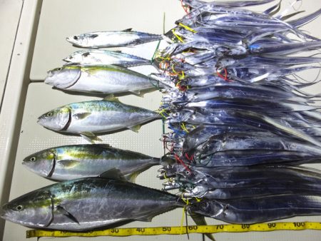 Hit Rush(ヒット ラッシュ） 釣果…