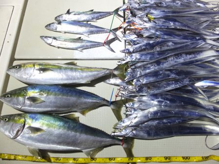 Hit Rush(ヒット ラッシュ） 釣果…