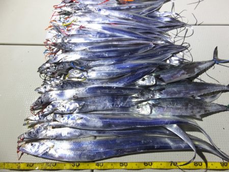 Hit Rush(ヒット ラッシュ） 釣果…