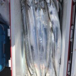 釣船 浦島太郎 釣果