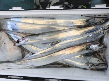釣船 浦島太郎 釣果