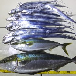 Hit Rush(ヒット ラッシュ） 釣果