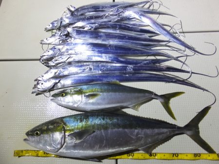 Hit Rush(ヒット ラッシュ） 釣果