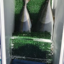 釣船 浦島太郎 釣果