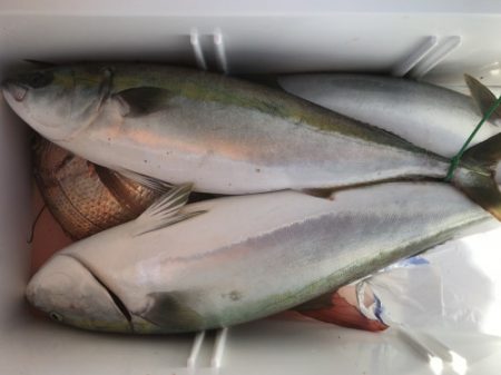 釣船 浦島太郎 釣果