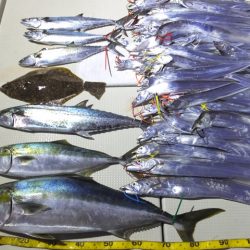 Hit Rush(ヒット ラッシュ） 釣果