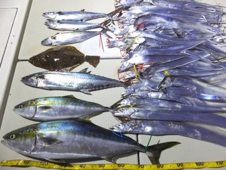 Hit Rush(ヒット ラッシュ） 釣果