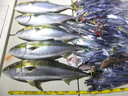 Hit Rush(ヒット ラッシュ） 釣果…