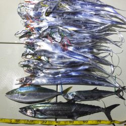 Hit Rush(ヒット ラッシュ） 釣果