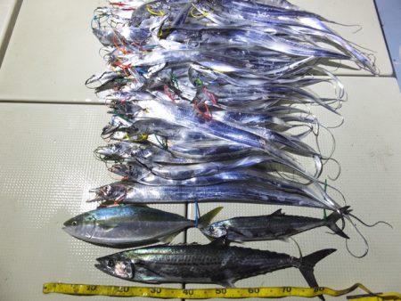 Hit Rush(ヒット ラッシュ） 釣果…