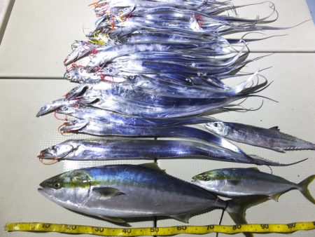 Hit Rush(ヒット ラッシュ） 釣果