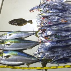 Hit Rush(ヒット ラッシュ） 釣果